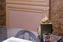 Cargar imagen en el visor de la galería, Curso de Cosecha de Café - Coatepec Veracruz Enero 2026