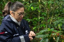 Cargar imagen en el visor de la galería, Curso de Cosecha de Café - Coatepec Veracruz Enero 2026