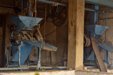 Cargar imagen en el visor de la galería, Curso de Cosecha de Café - Coatepec Veracruz Enero 2026
