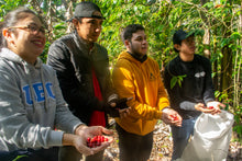 Cargar imagen en el visor de la galería, Curso de Cosecha de Café - Coatepec Veracruz Enero 2026
